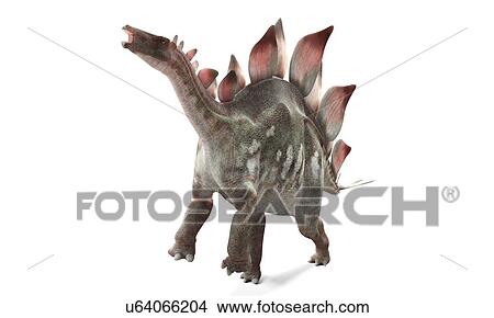 Stegosaurus dinosaur, artwork View Large Illustration Stock Illustration - Stegosaurus dinosaur, artwork. Fotosearch