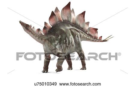 Stock Illustration - Stegosaurus dinosaur, artwork. Fotosearch