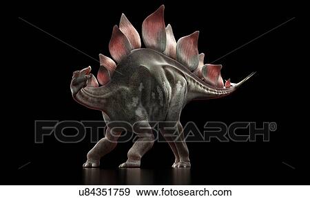 Stegosaurus dinosaur, artwork View Large Illustration Stock Illustration - Stegosaurus dinosaur, artwork. Fotosearch