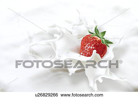 Stock Illustration - Strawberry falling into milk, artwork. Fotosearch