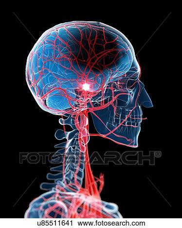 Clip Art - Stroke, artwork. Fotosearch