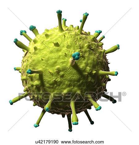 Swine flu, artwork View Large Illustration Clipart - Swine flu, artwork. Fotosearch