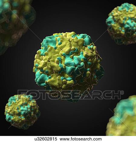 Stock Illustration - Swine vesicular disease virus, artwork. Fotosearch