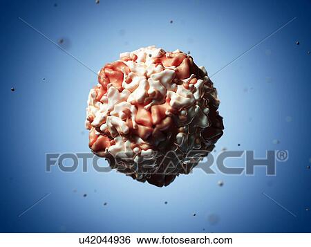 Stock Illustration - Swine vesicular disease virus, artwork. Fotosearch