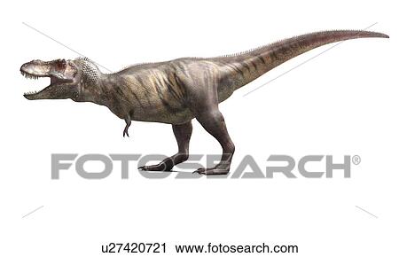 T-Rex, artwork View Large Illustration Clip Art - T-Rex, artwork. Fotosearch