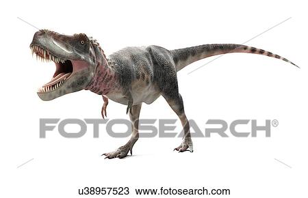 Tarbosaurus dinosaur, artwork View Large Illustration Drawing - Tarbosaurus dinosaur, artwork. Fotosearch