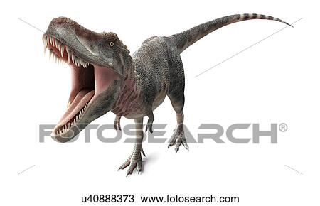 Tarbosaurus dinosaur, artwork View Large Illustration Drawing - Tarbosaurus dinosaur, artwork. Fotosearch