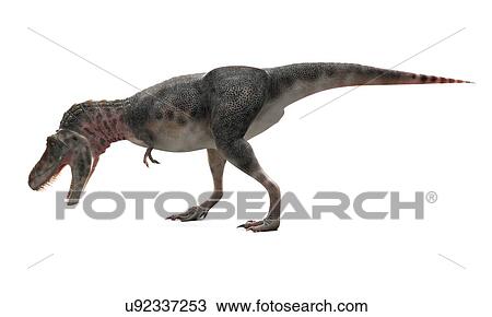 Drawing - Tarbosaurus dinosaur, artwork. Fotosearch