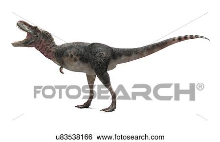 Tarbosaurus dinosaur, artwork View Large Illustration Stock Illustration - Tarbosaurus dinosaur, artwork. Fotosearch