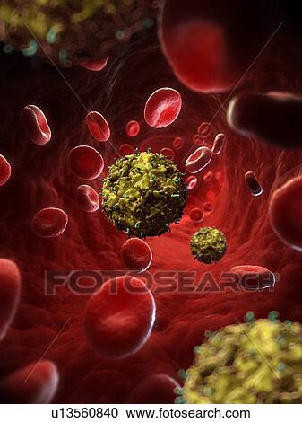 Theiler's murine encephalomyelitis virus View Large Illustration Clipart - Theiler's murine encephalomyelitis virus. Fotosearch