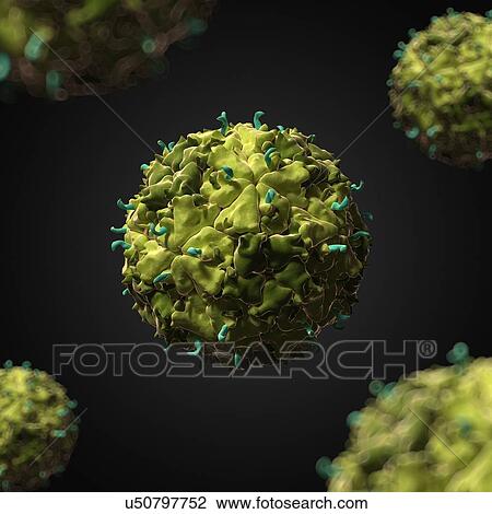Drawing - Theiler's murine encephalomyelitis virus. Fotosearch