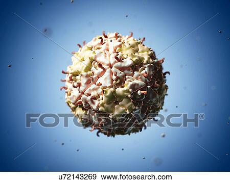 Stock Illustration - Theiler's murine encephalomyelitis virus. Fotosearch
