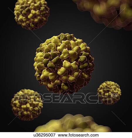 Tomato Aspermy virus, artwork View Large Illustration Stock Illustration - Tomato Aspermy virus, artwork. Fotosearch