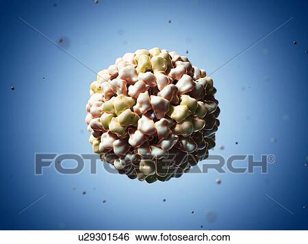 Stock Illustration - Tomato aspermy virus particle, artwork. Fotosearch