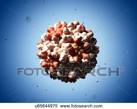 Tomato bushy stunt virus particle, artwor View Large Illustration Stock Illustration - Tomato bushy stunt virus particle, artwor. Fotosearch