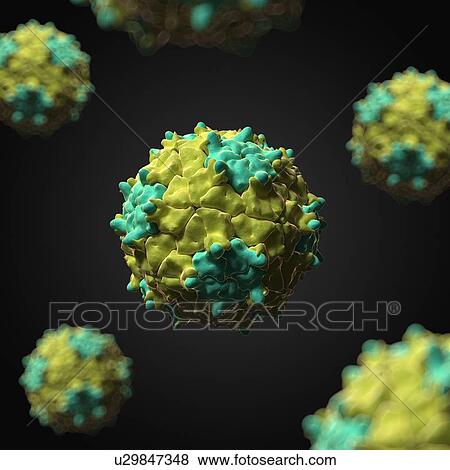 Stock Illustration - Triatoma virus, artwork. Fotosearch