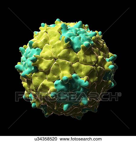 Clipart - Triatoma virus particle, artwork. Fotosearch