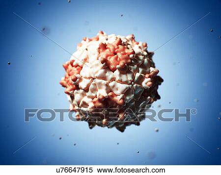 Stock Illustration - Triatoma virus particle, artwork. Fotosearch