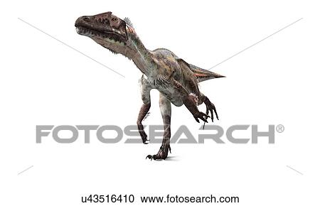 Utahraptor dinosaur, artwork View Large Illustration Clipart - Utahraptor dinosaur, artwork. Fotosearch