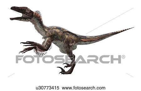 Utahraptor dinosaur, artwork View Large Illustration Stock Illustration - Utahraptor dinosaur, artwork. Fotosearch