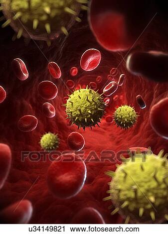 Venezuelan haemorrhagic fever, artwork View Large Illustration Clip Art - Venezuelan haemorrhagic fever, artwork. Fotosearch