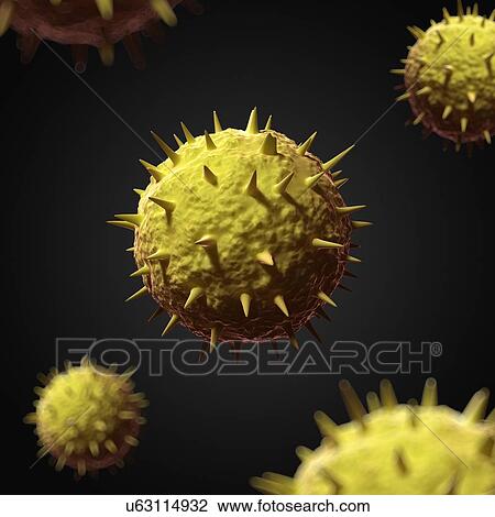 Drawing - Venezuelan haemorrhagic fever virus. Fotosearch