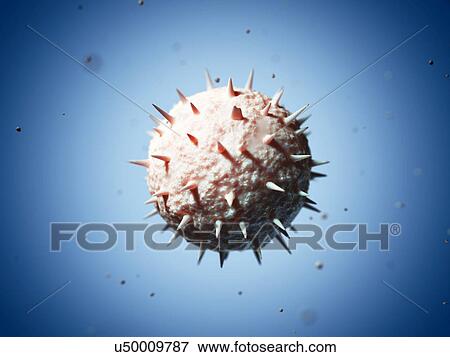 Venezuelan haemorrhagic fever virus View Large Illustration Stock Illustration - Venezuelan haemorrhagic fever virus. Fotosearch