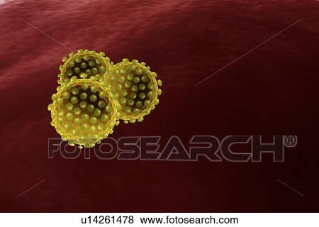 Stock Illustration - Virus particles, artwork. Fotosearch