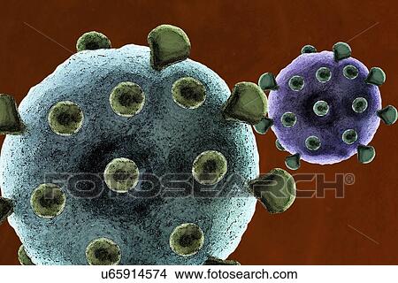 Stock Illustration - Virus particles, artwork. Fotosearch