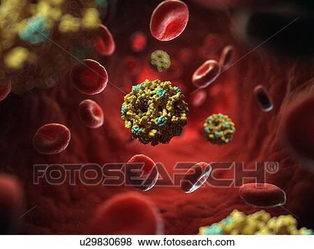 West nile virus, artwork View Large Illustration Stock Illustration - West nile virus, artwork. Fotosearch