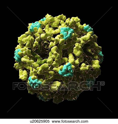 Stock Illustration - West Nile virus particle, artwork. Fotosearch