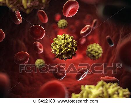 Clipart - Yellow fever virus, artwork. Fotosearch