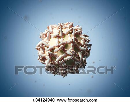 Yellow fever virus, artwork View Large Illustration Clipart - Yellow fever virus, artwork. Fotosearch