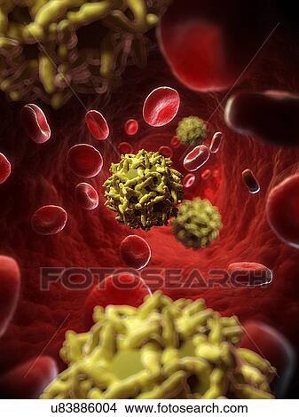 Yellow fever virus, artwork View Large Illustration Stock Illustration - Yellow fever virus, artwork. Fotosearch
