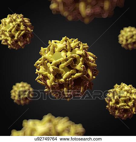 Stock Illustration - Yellow fever virus, artwork. Fotosearch
