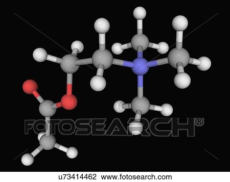 Acetylcholine molecule View Large Illustration Drawing - Acetylcholine molecule. Fotosearch