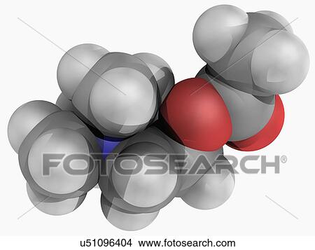 Acetylcholine molecule View Large Illustration Stock Illustration - Acetylcholine molecule. Fotosearch