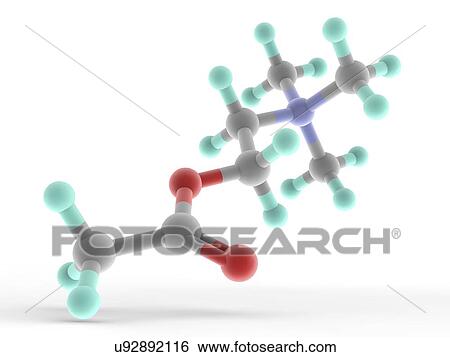Stock Illustration - Acetylcholine molecule. Fotosearch
