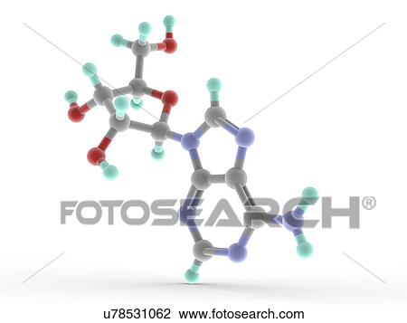Drawing - Adenosine molecule. Fotosearch