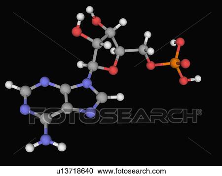 Adenosine monophosphate molecule View Large Illustration Clipart - Adenosine monophosphate molecule. Fotosearch