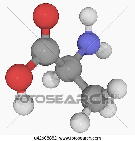 Alanine molecule View Large Illustration Drawing - Alanine molecule. Fotosearch