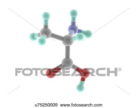 Alanine molecule View Large Illustration Stock Illustration - Alanine molecule. Fotosearch