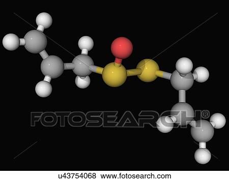 Allicin molecule View Large Illustration Stock Illustration - Allicin molecule. Fotosearch