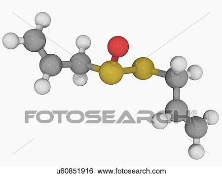 Allicin molecule View Large Illustration Stock Illustration - Allicin molecule. Fotosearch