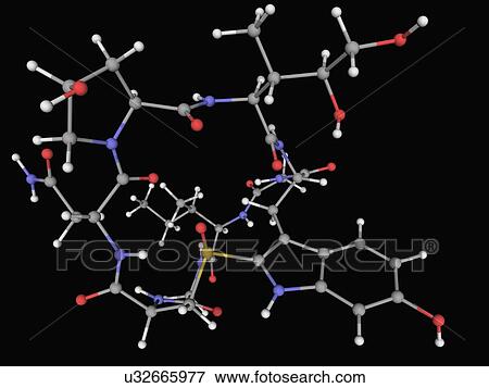 Alpha-Amanitin toxin molecule View Large Illustration Stock Illustration - Alpha-Amanitin toxin molecule. Fotosearch