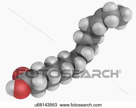 Alpha-linolenic acid molecule View Large Illustration Drawing - Alpha-linolenic acid molecule. Fotosearch