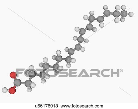 Stock Illustration - Alpha-linolenic acid molecule. Fotosearch