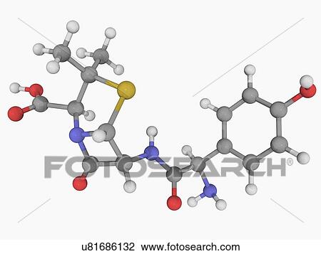 Amoxicillin drug molecule View Large Illustration Drawing - Amoxicillin drug molecule. Fotosearch