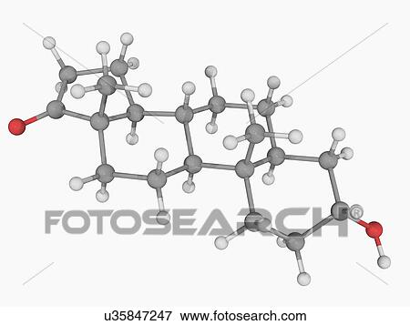Androsterone hormone molecule View Large Illustration Stock Illustration - Androsterone hormone molecule. Fotosearch