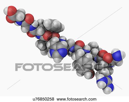 Angiotensin hormone molecule View Large Illustration Stock Illustration - Angiotensin hormone molecule. Fotosearch